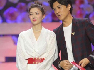 文化砖、文化石双“璧”争辉,2018年它们又火了_模拟器游戏(图3) 模拟器游戏